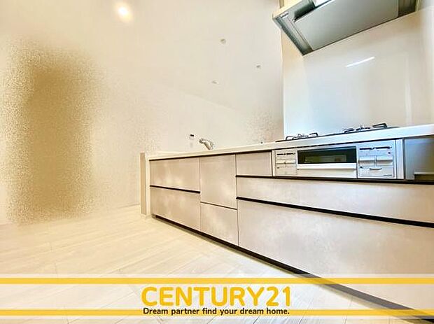 同仕様写真（キッチン）