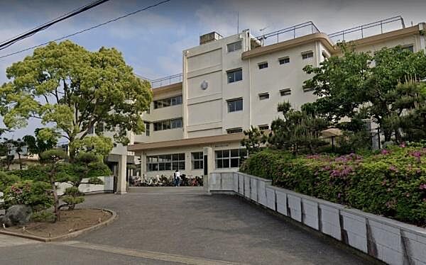 平塚市立花水小学校まで519m