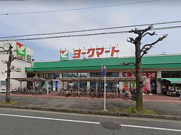ヨークマート鴨宮店まで624m