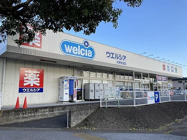ウエルシア大井松田店まで1060m