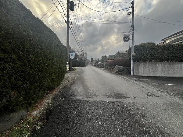 ■前面道路含む現地写真■交通量が少なく、閑静で落ち着いた雰囲気が漂う前面道路。周囲は緑豊かな別荘地となっており、プライバシーを保ちながら静かで穏やかな生活を送ることができます