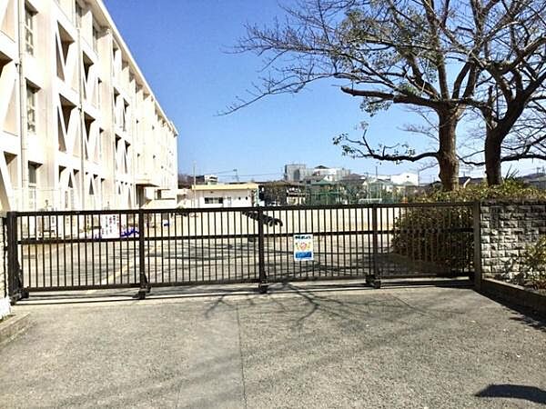 藤沢市立村岡小学校まで648m