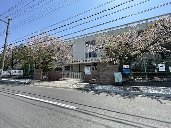 藤井寺市立道明寺中学校まで1025m
