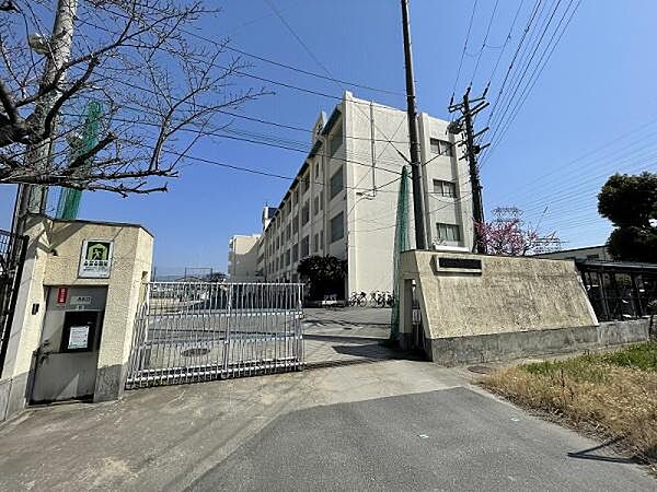 八尾市立亀井中学校まで1519m