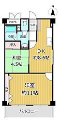 平野コーポ 2DKの間取図画像