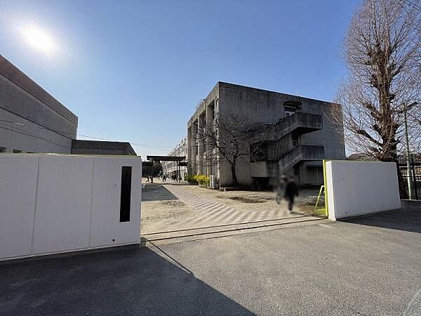 八尾市立八尾中学校まで1070m