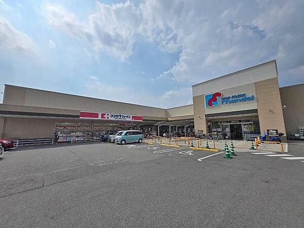 万代羽曳野島泉店まで300m
