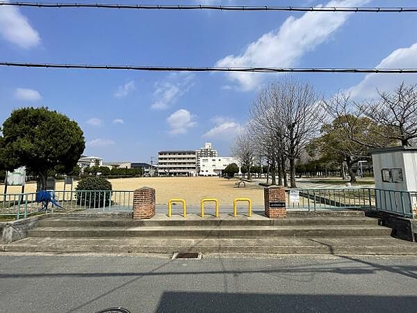 周辺を拡大表示