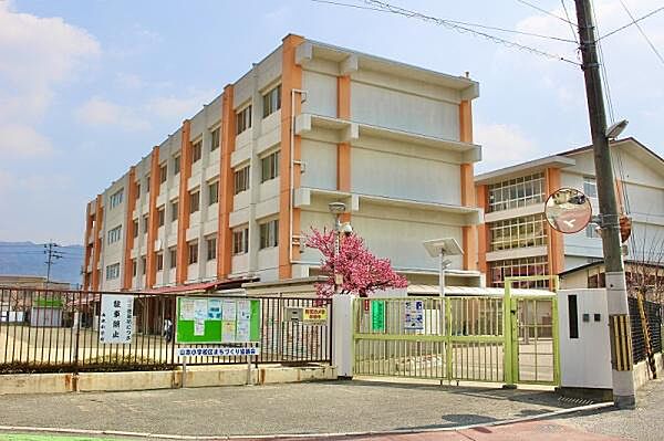 八尾市立山本小学校まで376m