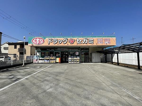 ドラッグセガミ八尾北本町店まで729m