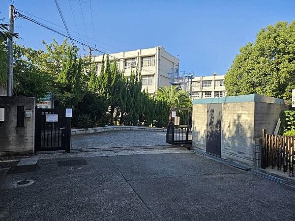 羽曳野市立峰塚中学校まで291m