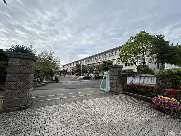 鹿児島市立玉江小学校まで1403m、鹿児島市立玉江小学校校訓「のぞみ 大きく たくましく」が近くにあります。