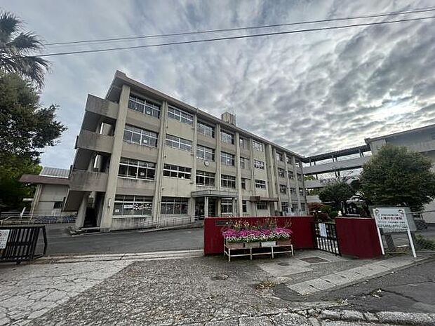 鹿児島市立西伊敷小学校まで776m、鹿児島市立西伊敷小学校(校訓:毎朝 あたらしいぼくもわたしも学校も)が近くにあります。