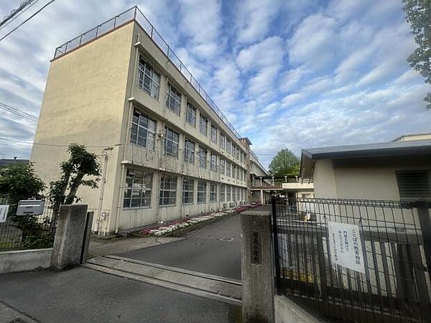 鹿児島市立原良小学校まで1119m、原良小学校では、「自ら学び、自ら考える」ことを大切にし、豊かな人間性と健康でたくましい体を兼ね備えた子どもを育成します。