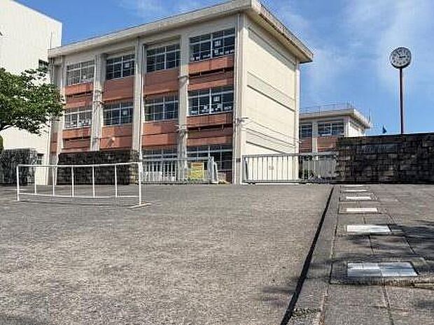 姶良市加治木中学校まで391m、姶良市立加治木中学校(校訓:「向学・自主・創造」)がすぐそばにあります。