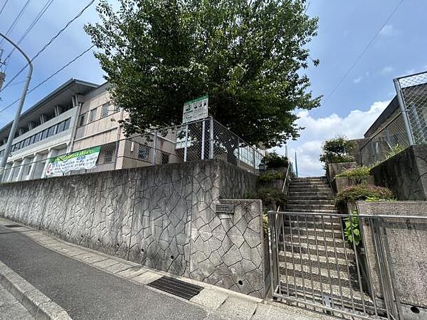 鹿児島市立紫原中学校まで299m、鹿児島市立紫原中学校（校訓：自主・愛知・健康・協和）が近くにあり、学びと調和を大切にする教育環境が整った地域です。