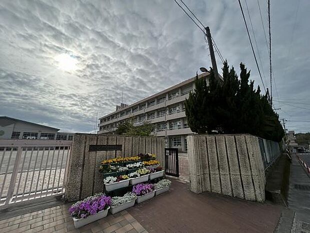 鹿児島市立草牟田小学校まで1096m、草牟田小学校では「よく考える子・助け合う子・元気な子・心の美しい子・ねばり強い子」という学校校訓です。