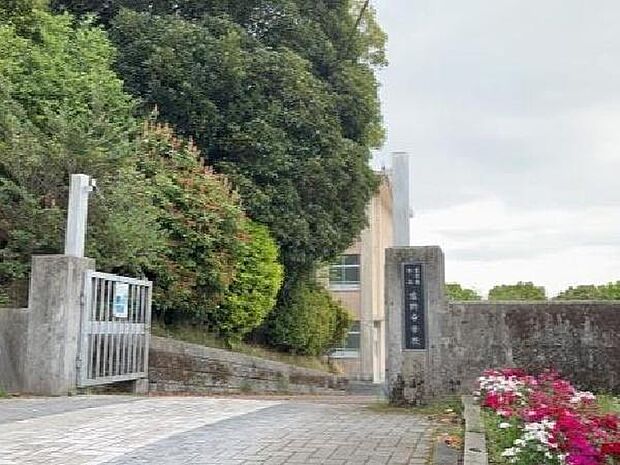 鹿児島市立吉野中学校まで1883m、鹿児島市立吉野中学校(校訓:自主・気魄・創造)が近くにあり、自ら考え行動し挑戦する気持ちを育む環境が整った地域です。