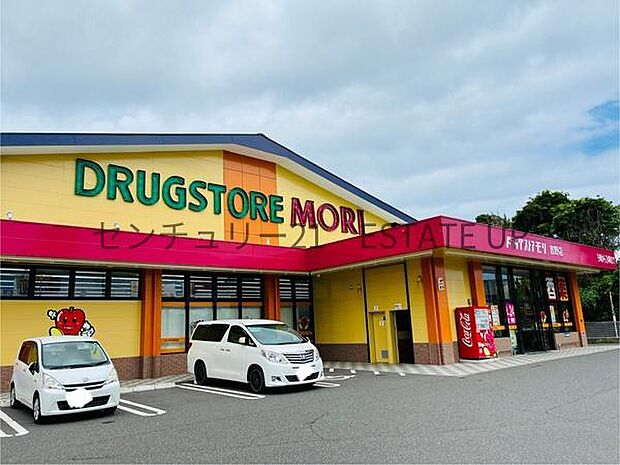 ドラッグストアモリ吉野店まで862m、手頃な価格で品揃え豊富な『ドラッグストアモリ』が周辺にあり、忙しい毎日をしっかりサポート。