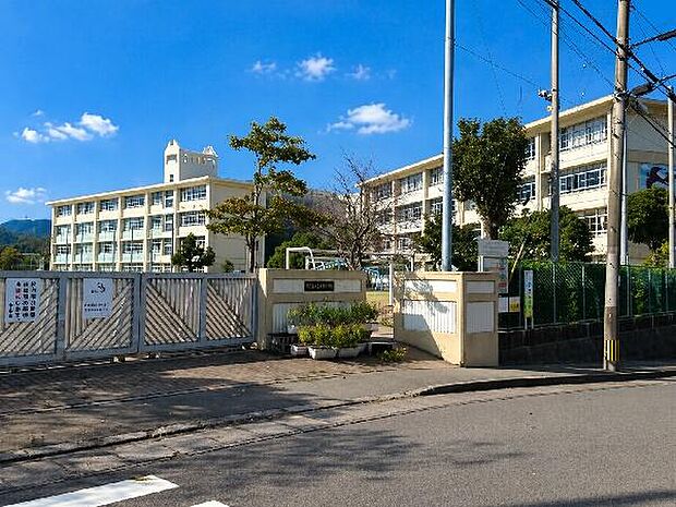鹿児島市立皇徳寺小学校まで651m、皇徳寺小学校では、校訓「かしこく・やさしく・たくましく」を大切にしています。