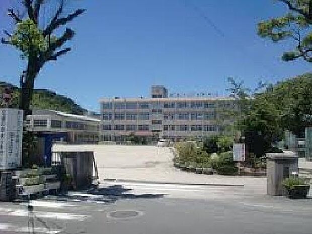 鹿児島市立田上小学校まで314m、地域に根差した温かい環境が魅力です。子どもたちの個性を大切にし、学びや成長をサポートする充実したプログラムがあります