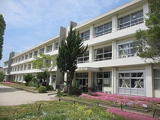 いちき串木野市立市来小学校まで668m、市来小学校では「『認め』『支え』『学び』ともに未来を創る人づくり」のもと自ら学び・考え・行動する力を育んでいます。