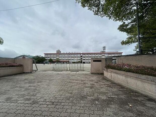 鹿児島市立谷山小学校まで656m、地域に根差した温かい環境が魅力です。子どもたちの個性を大切にし、学びや成長をサポートする充実したプログラムがあります