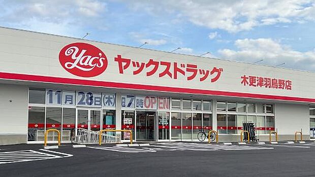 ヤックスドラッグ木更津羽鳥野店まで769m