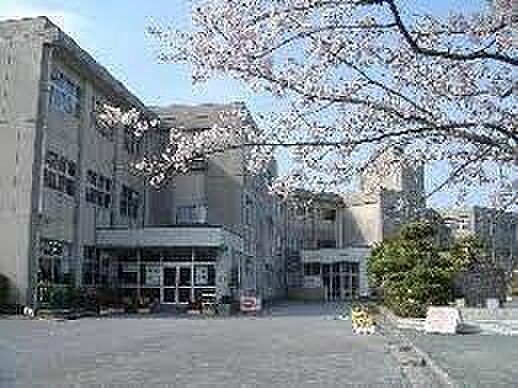 木更津市立波岡中学校まで2300m