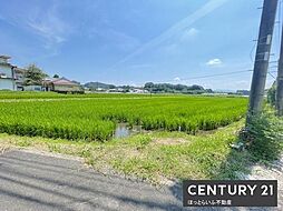高崎町大牟田の700坪超のまとまった敷地が売りに出ています