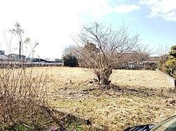 宮崎県都城市早水町3902-11