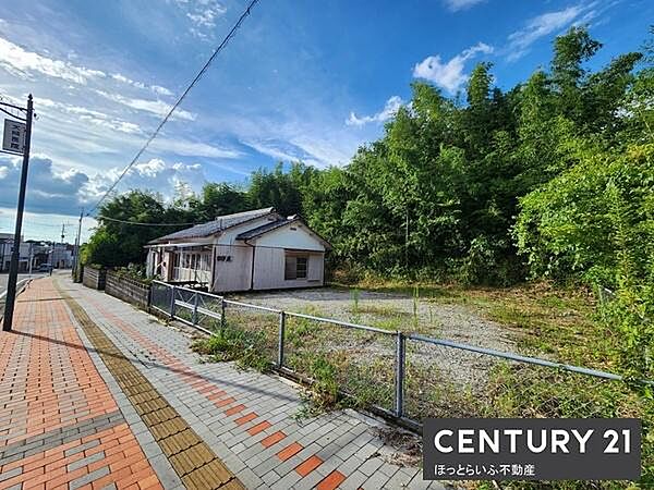 開放感のある空間が広がる現地土地写真です。道路に面した立地で敷地の様子も一目で確認できます。周囲には緑が多くゆとりの感じられる雰囲気です。建物も現状のままご覧いただけます。