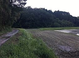 宮崎県都城市高城町有水