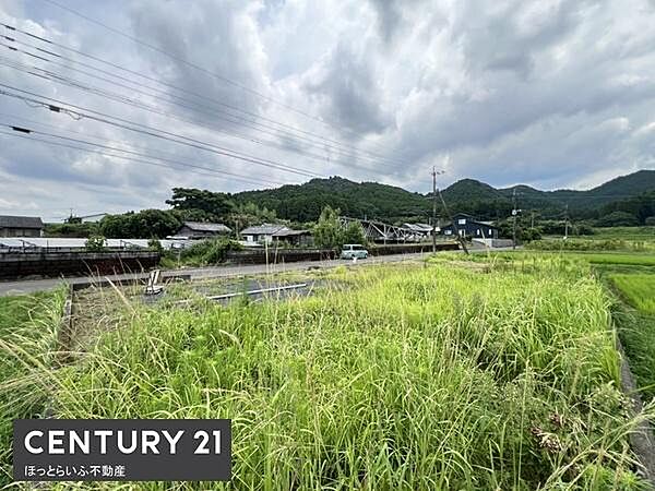 周囲には田園風景が広がり自然を感じる現地土地写真です。見晴らしの良い環境で徒歩圏内に民家や道路もあり利便性も備えています。車のアクセスもスムーズで比較的静かなエリアの現地土地写真です。