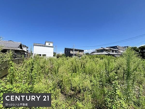 外観：345000050380