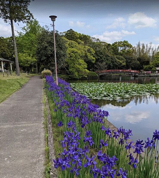 早水公園まで909m、ジョギング、ウォーキング、散歩に最適です。休憩出来るベンチもあり木々や花々がとても綺麗です。
