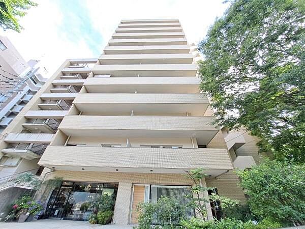 外観：323000469584