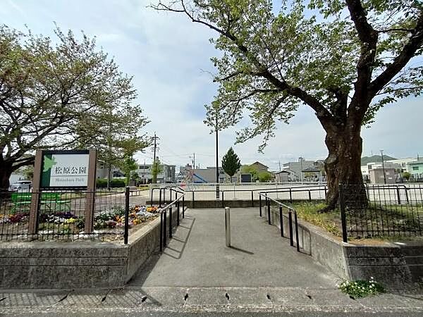 松原公園まで743m