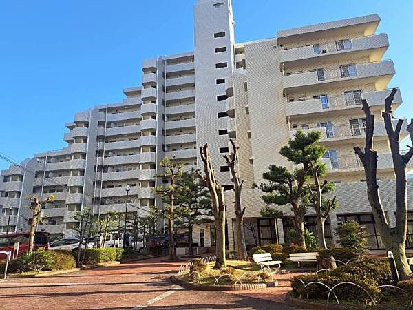 外観：323000473975