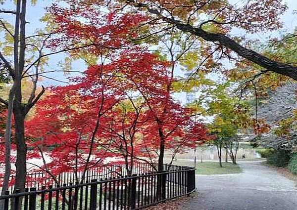 明徳公園まで247m