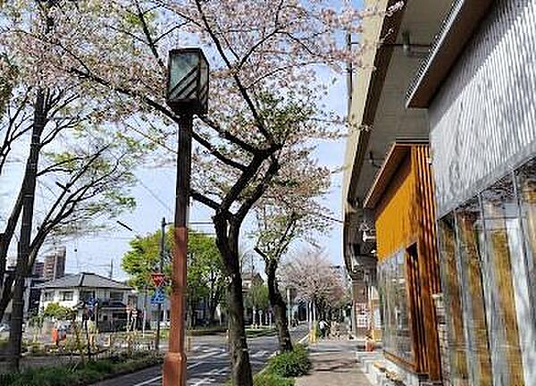 SAKUMACHI商店街まで899m