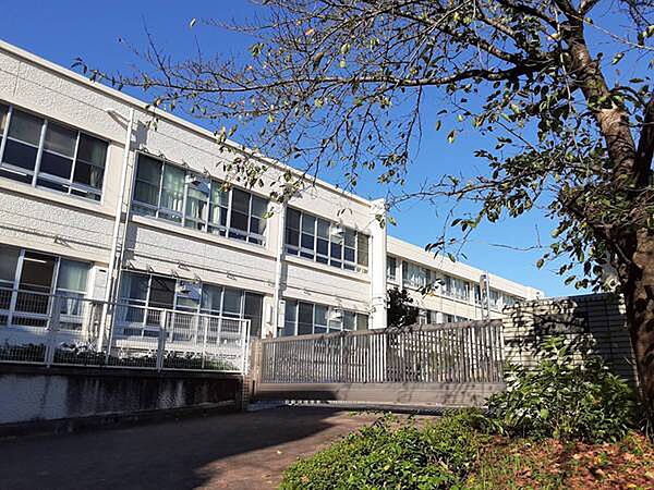 名古屋市立自由ケ丘小学校まで452m