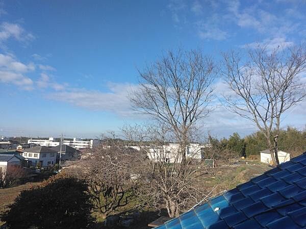 現地からの眺望