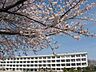 周辺：豊田市立平和小学校まで760m