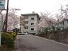 周辺：豊田市立岩倉小学校まで1800m
