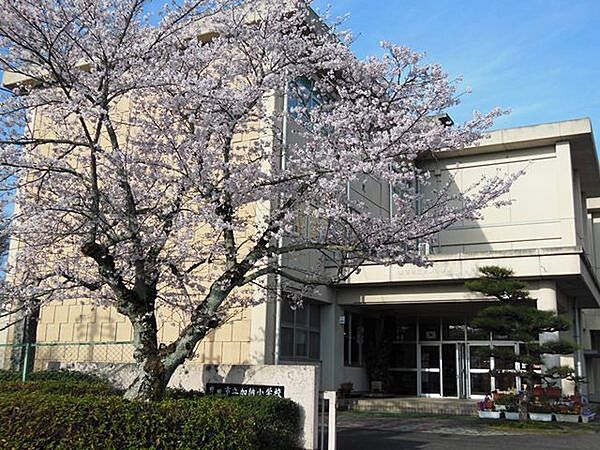 豊田市立加納小学校まで2300m