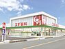 周辺：スギ薬局蒲郡西店まで260m