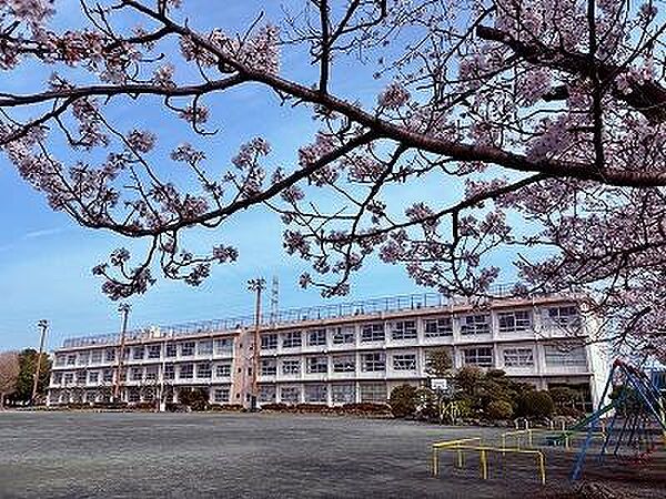 平塚市立真土小学校まで496m