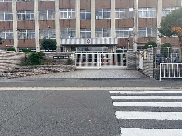 姫路市立南大津小学校まで400m
