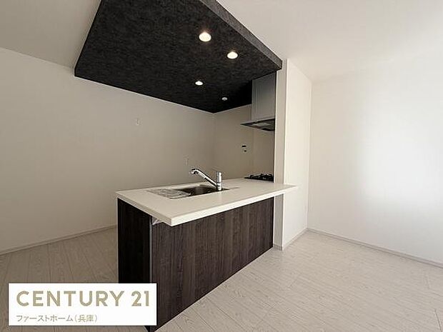 モダンなデザインのキッチンです。ダークカラーの天井がアクセントとなり空間にメリハリを与えています。対面式カウンターがすっきりとした印象を演出しています。照明も配置され明るさが確保されています。